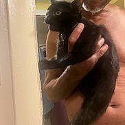 Panther is registered to the contest to win money with this photo: man, shirtless, black_cat, cat, pet, indoor, holding, collar, curious, smile, person, door, clothing, fingers, hand, animal, fur, tail, domestic_animal, portrait