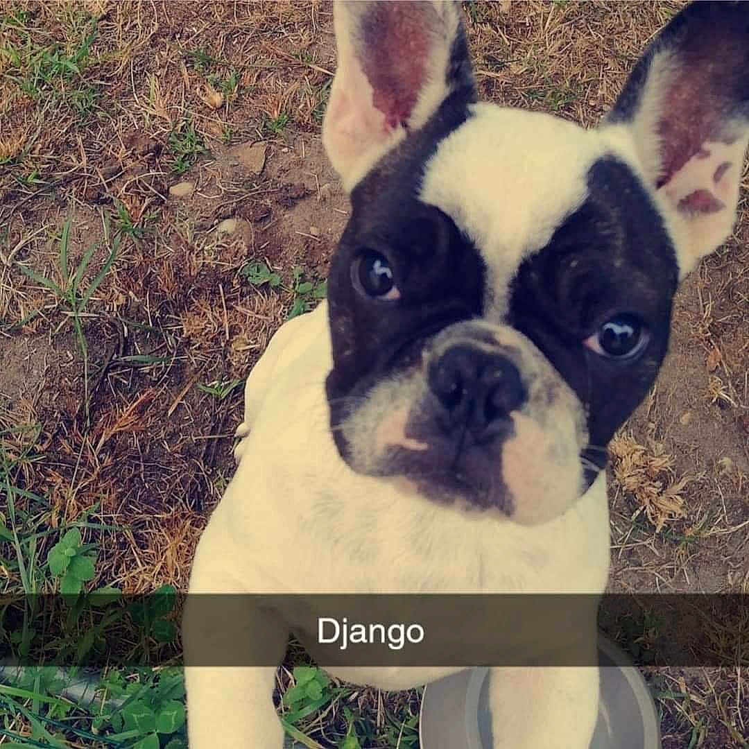 Django