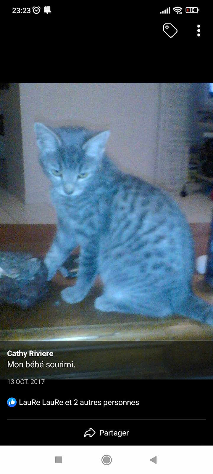 Sourimi Bb