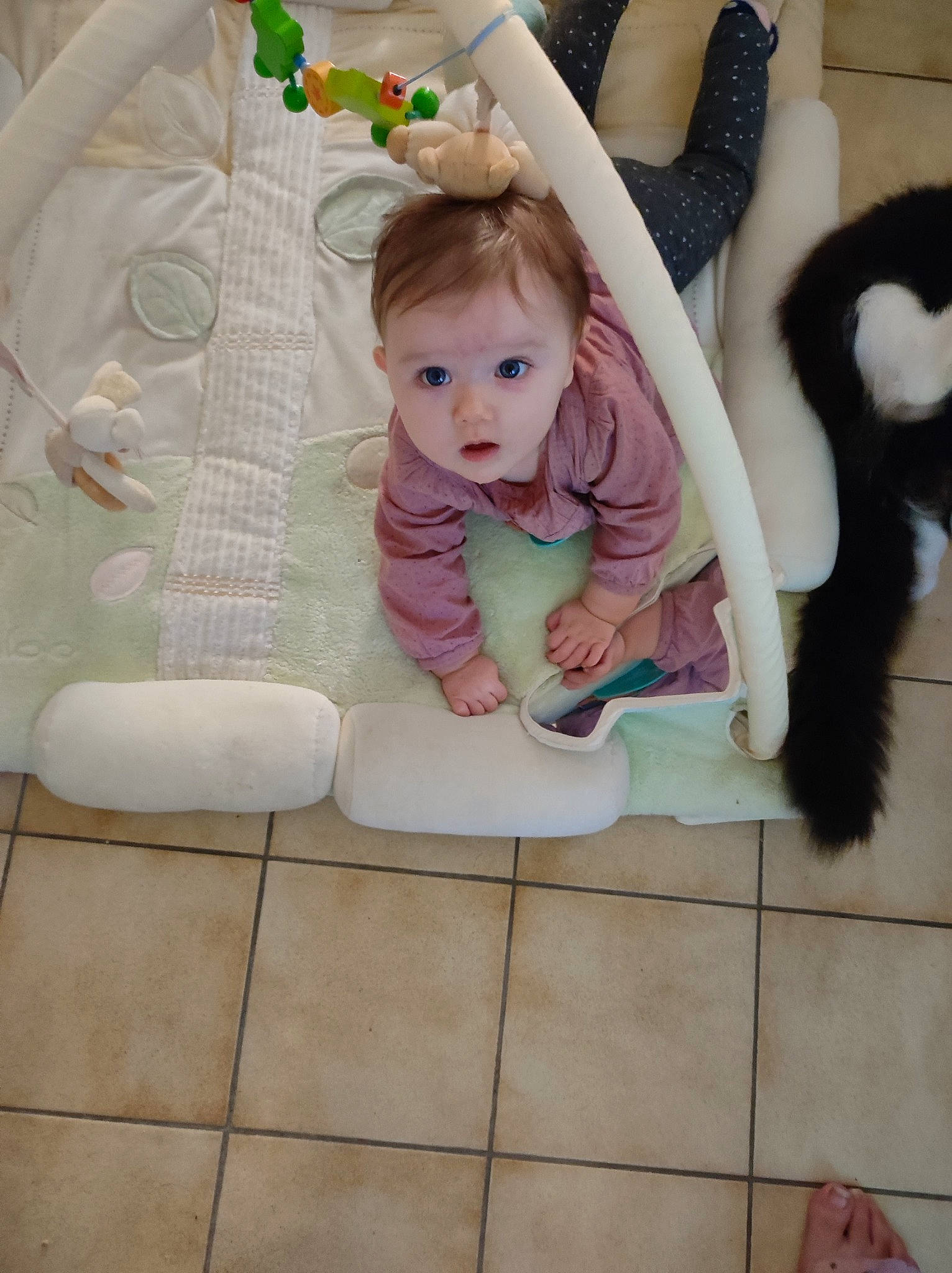 Mayanna a rejoint le concours — aidez-le/la à gagner de superbes lots ! baby, baby_products, baby_toddler_clothing, baby_toys, child, comfort, floor, flooring, fur, fur_clothing, head, linens, pattern, person, pink, play, room, sitting, sleeve, t_shirt