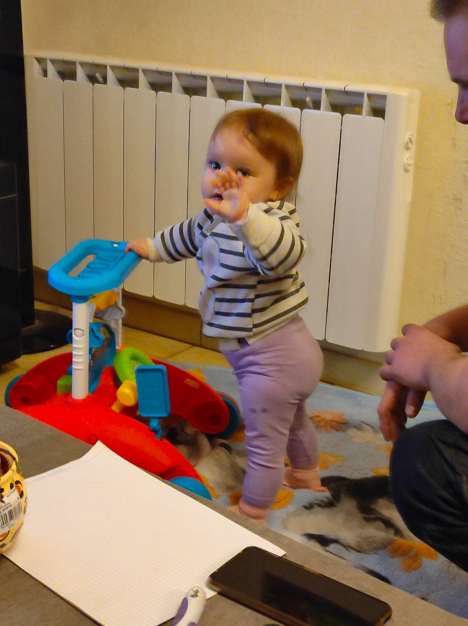 Mayanna a rejoint le concours — aidez-le/la à gagner de superbes lots ! baby, baby_playing_with_toys, baby_products, baby_toys, child, cleanliness, floor, flooring, fun, person, play, room, standing, toddler, toy, visual_arts, wood