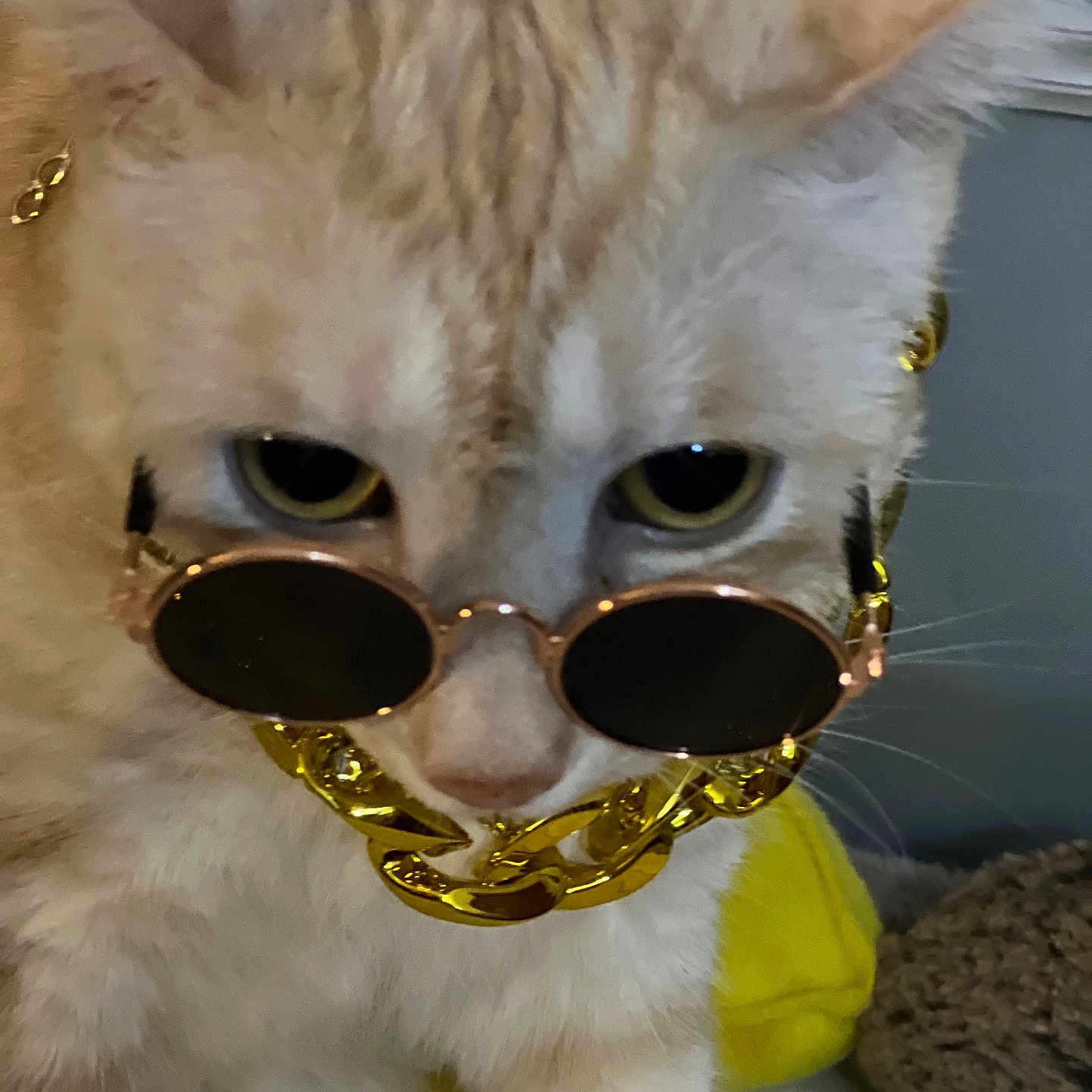 Kira