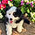 Vicky