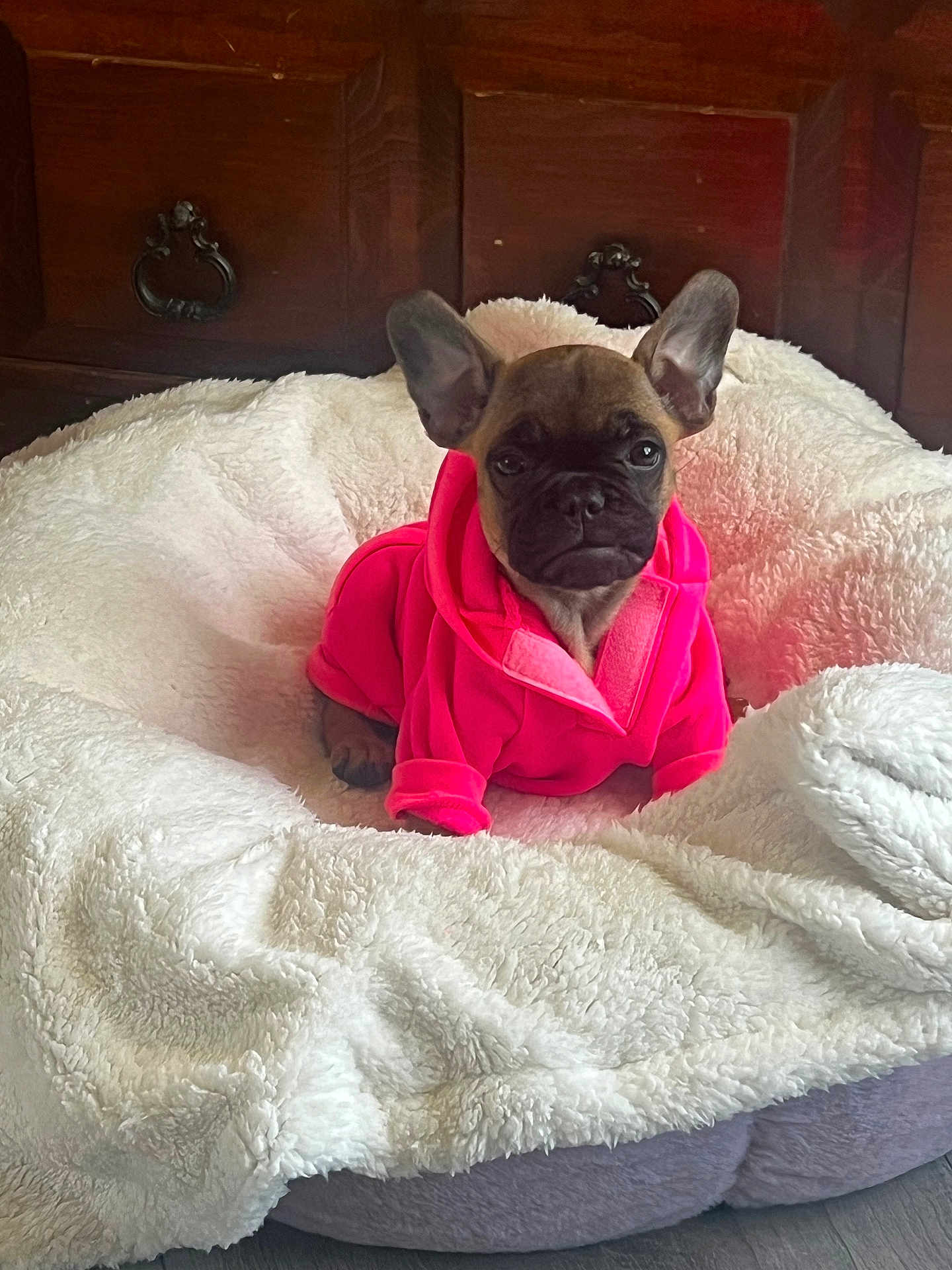 Bella