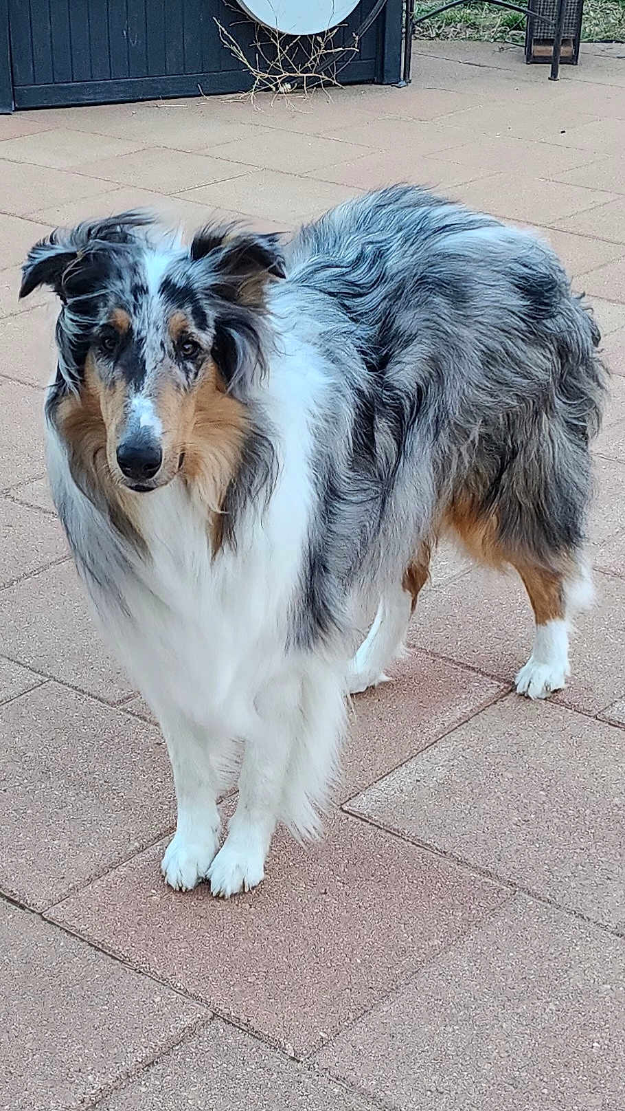 Casper