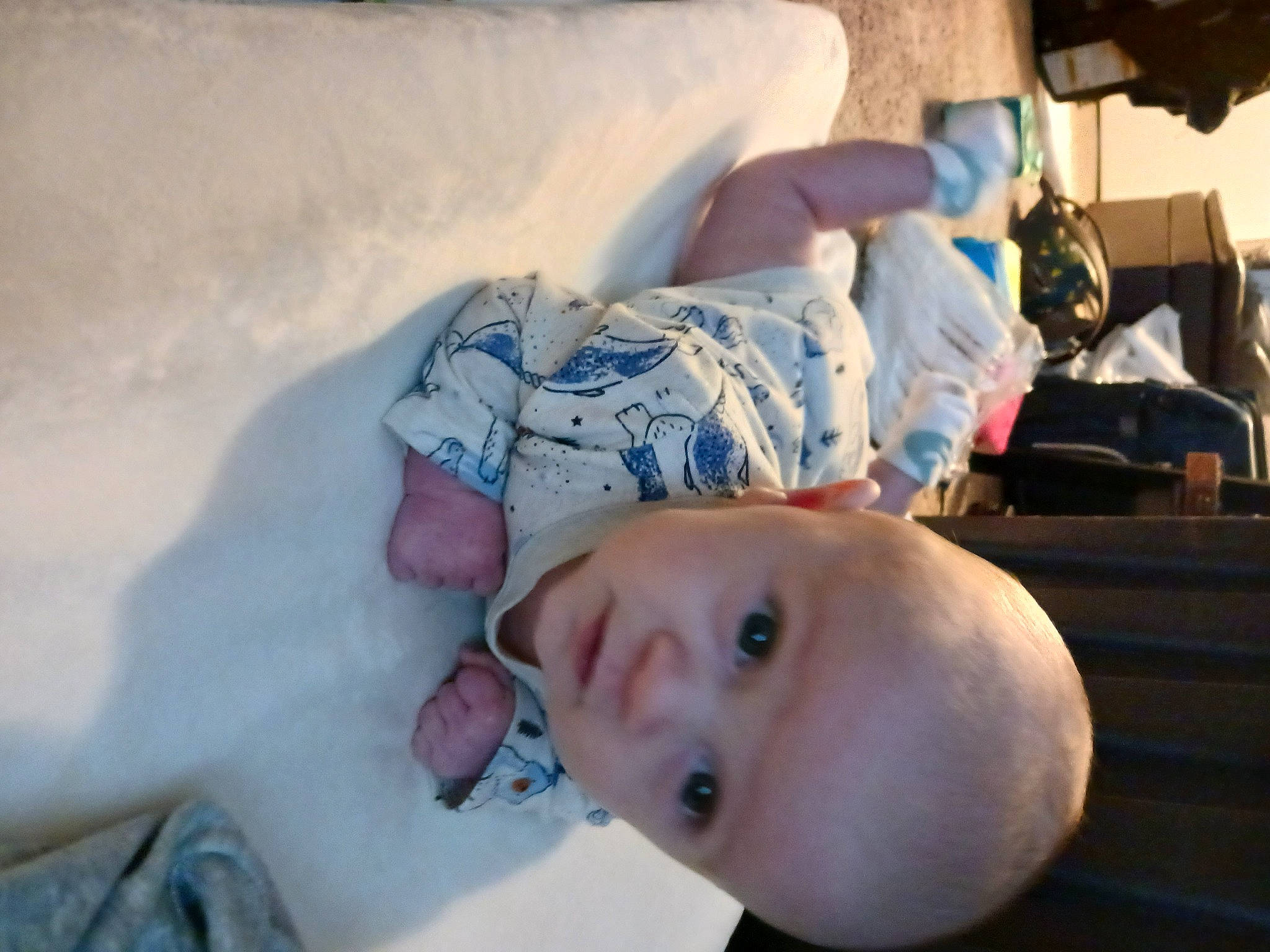 Harrison joined the competition — help win amazing prizes! baby, baby_products, baby_safety, bed, child, comfort, fun, happy, leisure, linens, person, room, toddler, vacation