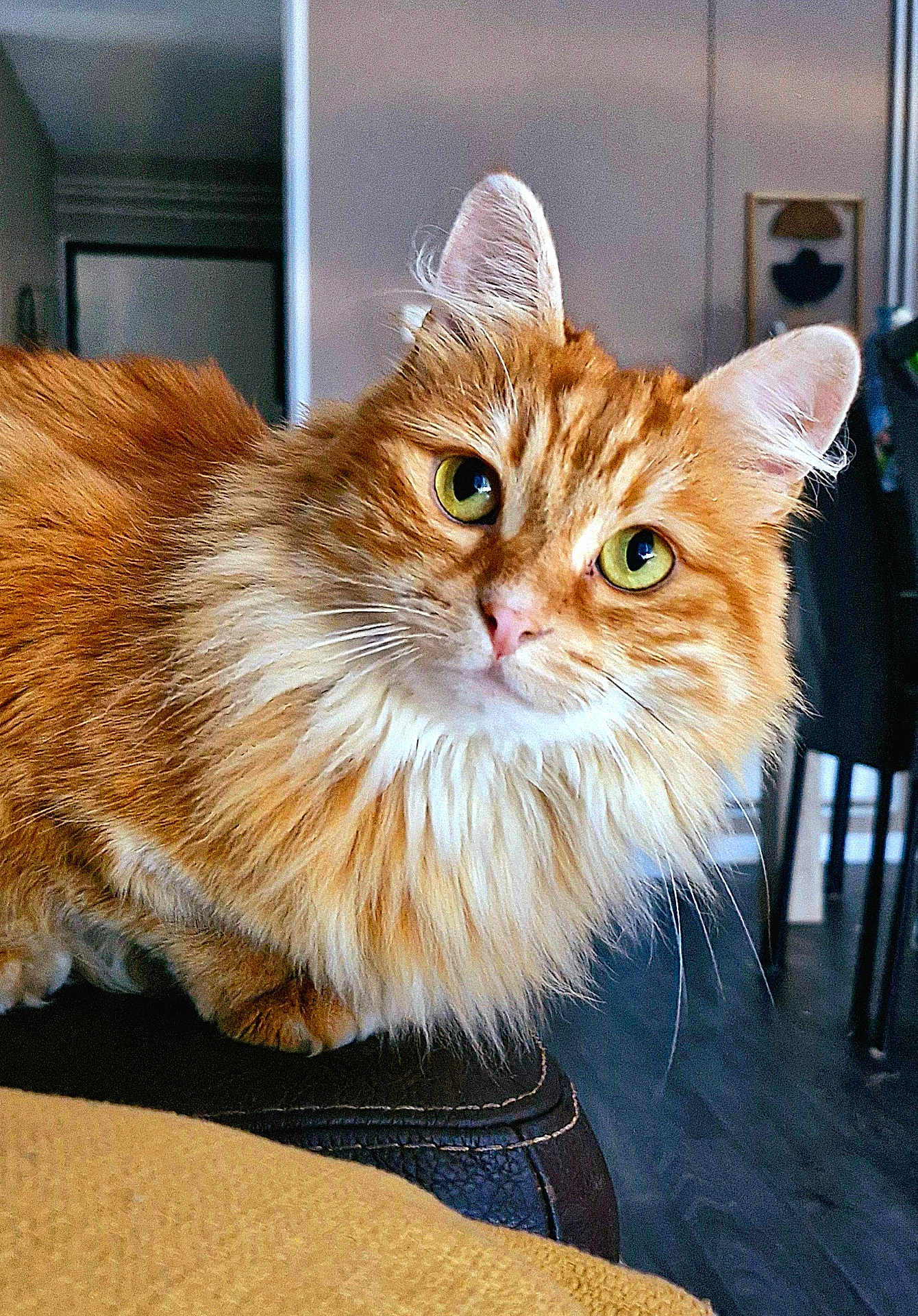 Sienna