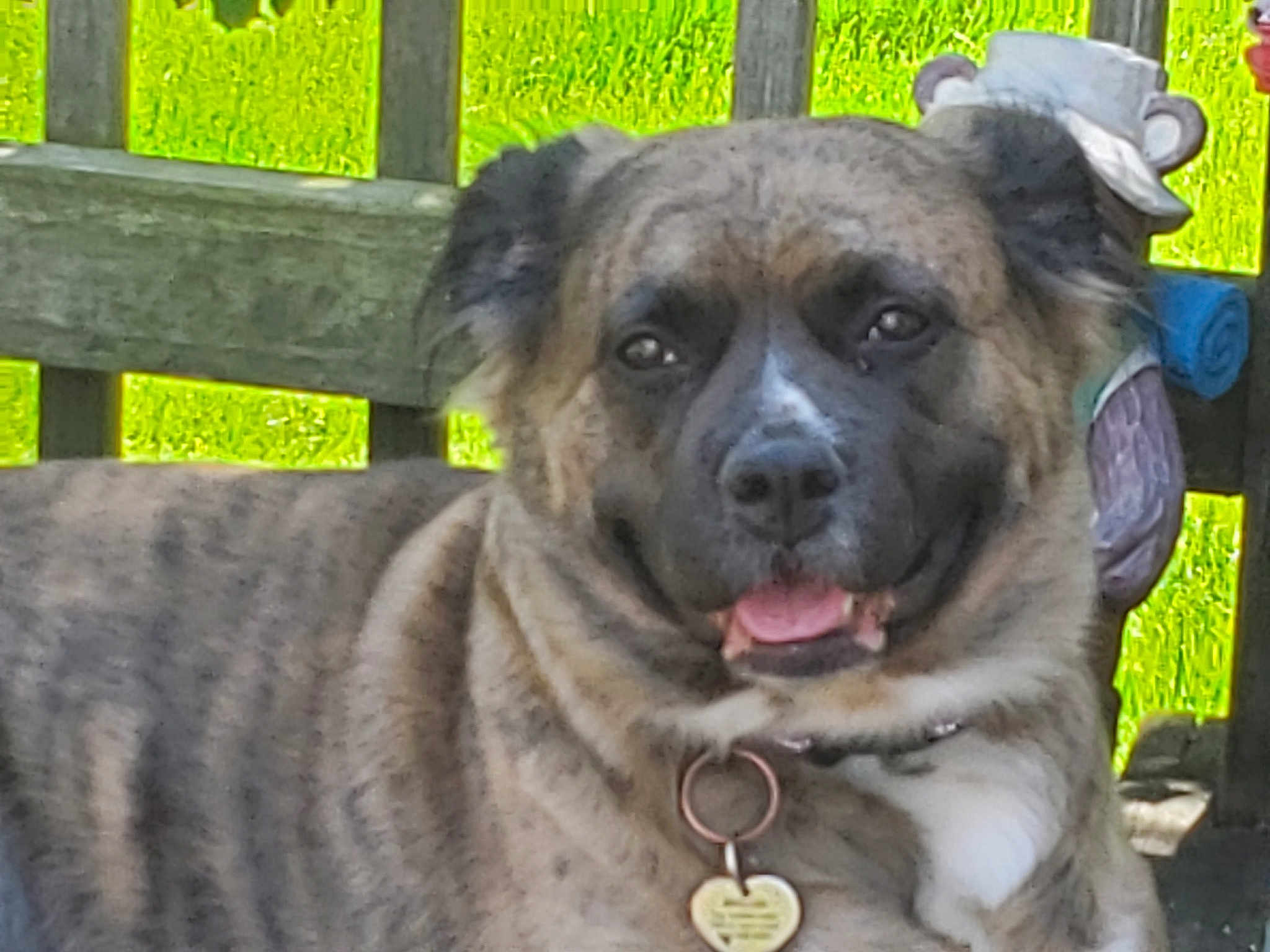 Shiloh