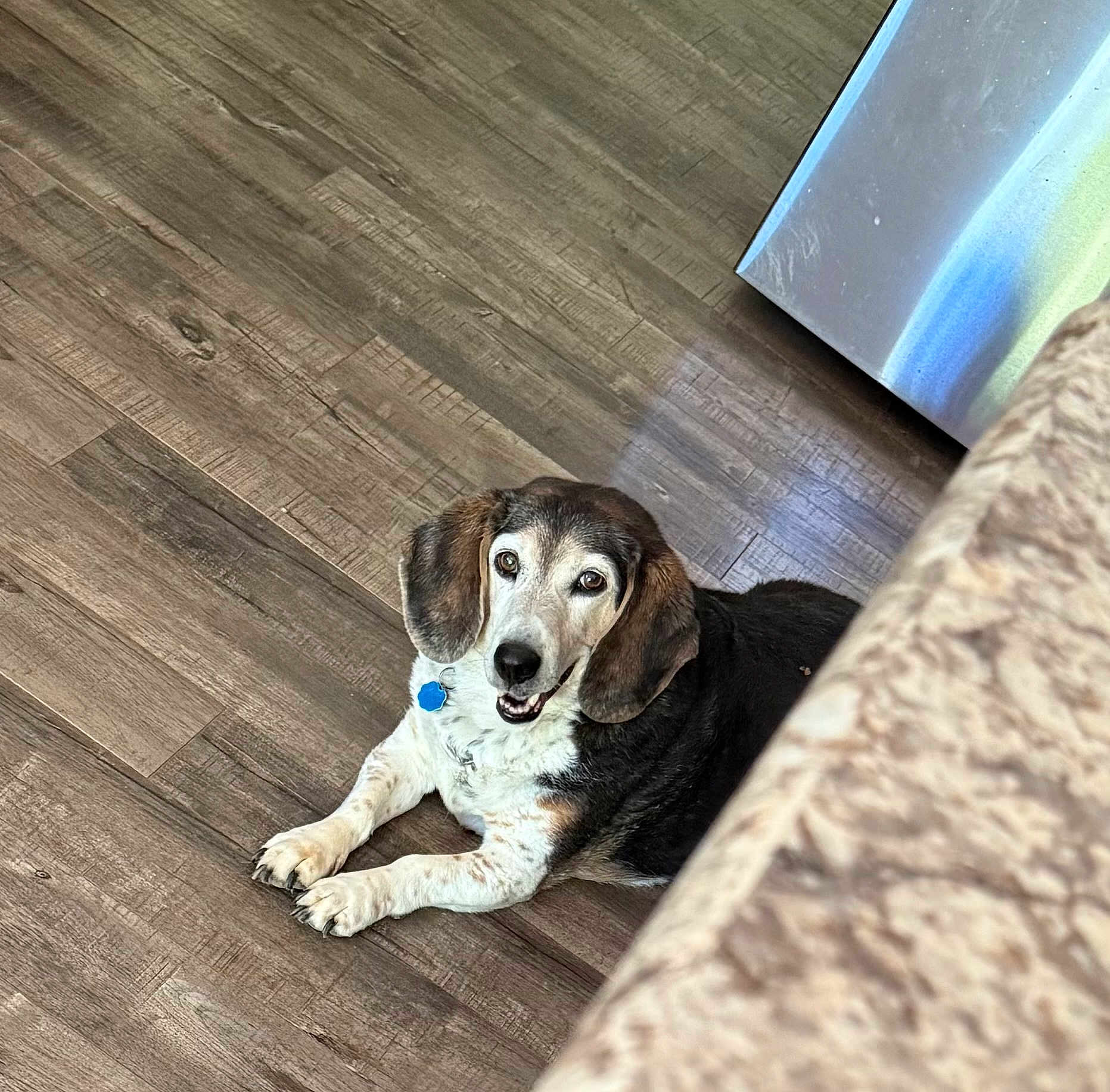 Ozzie