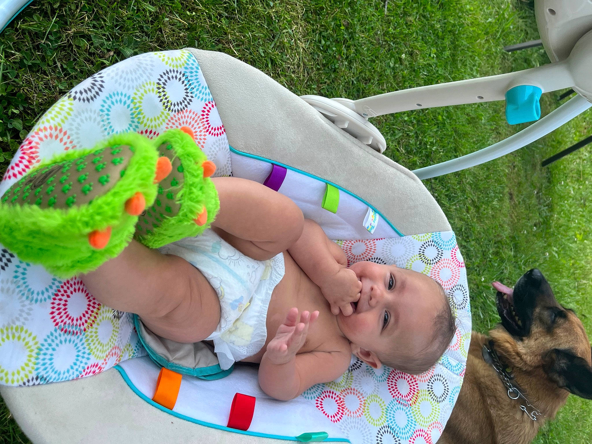 Kingston joined the competition — help win amazing prizes! baby, baby_products, baby_toddler_clothing, child, comfort, companion_dog, dog, dog_breed, fashion_accessory, grass, green, lap, leisure, linens, pattern, person, play, sitting, thigh, toddler