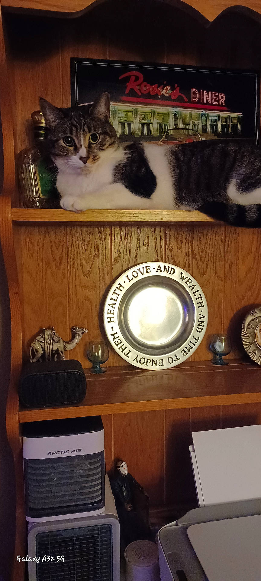 animal, brown, camel_figurine, cat, cozy, decorative_plate, figurine, furniture, household, indoor, looking, nostalgic, pet, resting, retro, shelf, tabby_cat, vintage_sign, warm_lighting, wood_paneling