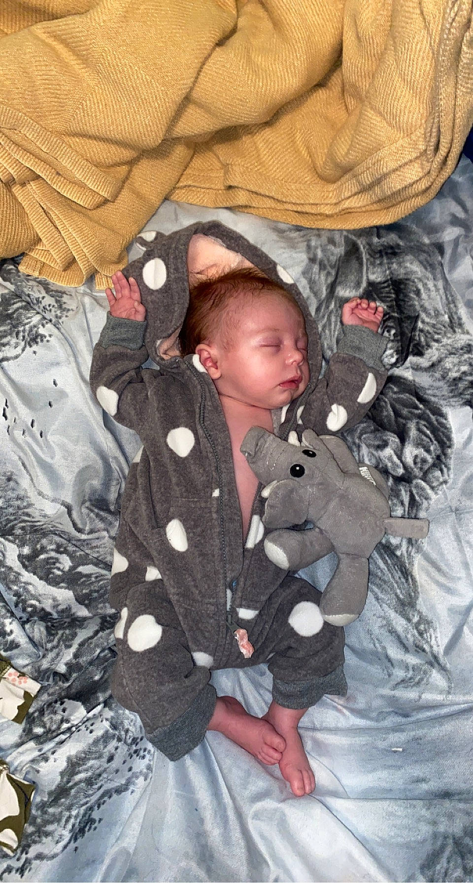 Allayna Grace is registered to the contest to win money with this photo: baby, baby_toddler_clothing, beauty, camouflage, child, comfort, freezing, fun, fur, human, linens, military_camouflage, outerwear, pattern, people_in_nature, person, sleeve, textile, toddler, tree