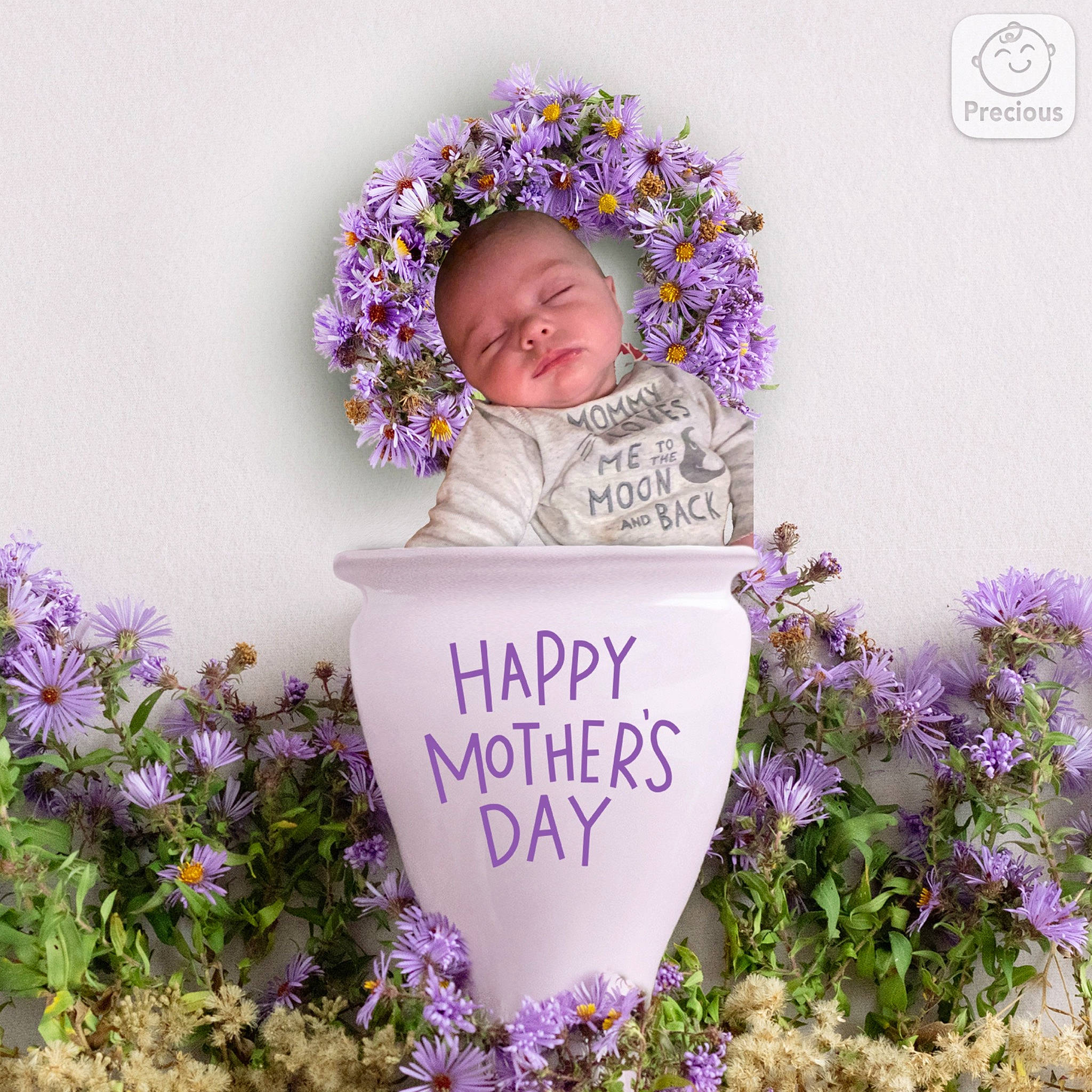 Allayna is registered to the contest to win money with this photo: annual_plant, baby, botany, cut_flowers, flower, flowering_plant, font, grass, groundcover, happy, people_in_nature, person, petal, plant, purple, rectangle, shrub, smile, toddler, violet