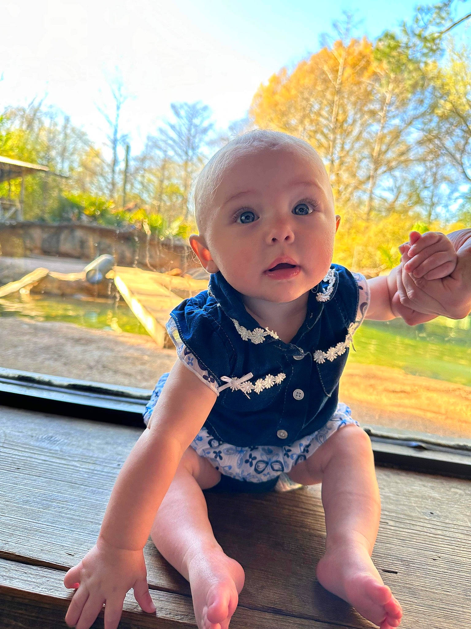 Laynagrace is registered to the contest to win money with this photo: baby, baby_toddler_clothing, electric_blue, flash_photography, fun, grass, happy, human_leg, leaf, leg, leisure, people_in_nature, person, plant, sitting, sky, sleeve, standing, thigh, toddler