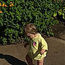 toddler, child, yellow_shirt, orange_shoes, outdoor, sidewalk, shadow, greenery, flowers, sunlight, curious, standing, nature, daytime, young_child, casual_clothing, plants, small_child, walking, garden