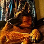 dog, german_shepherd, pet, animal, fur, paw, lying_down, indoors, cozy, soft_light, warm_colors, portrait, canine, relaxed, looking_away, texture, fabric, comfort, closeup, domestic_animal