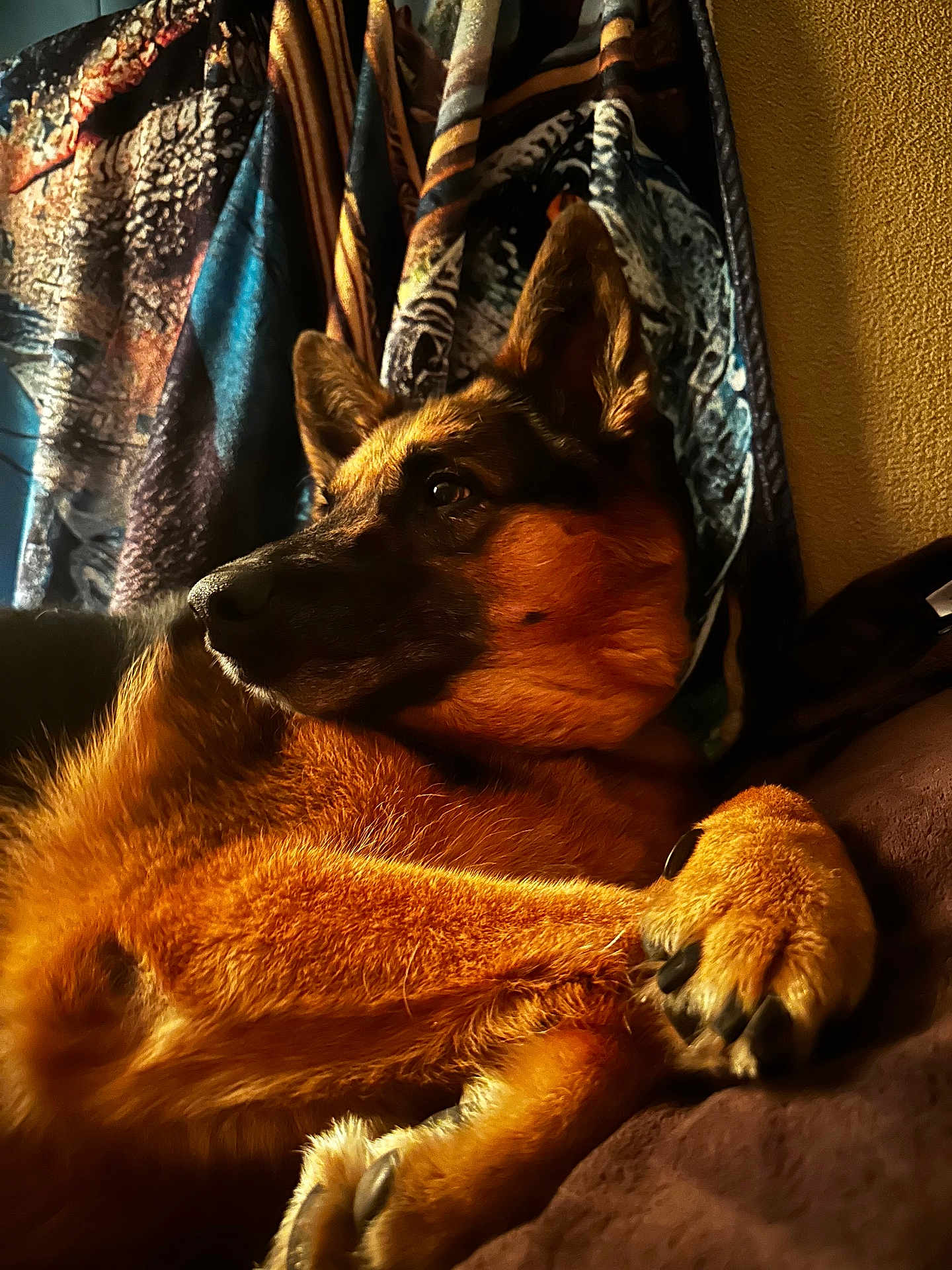 Rusty