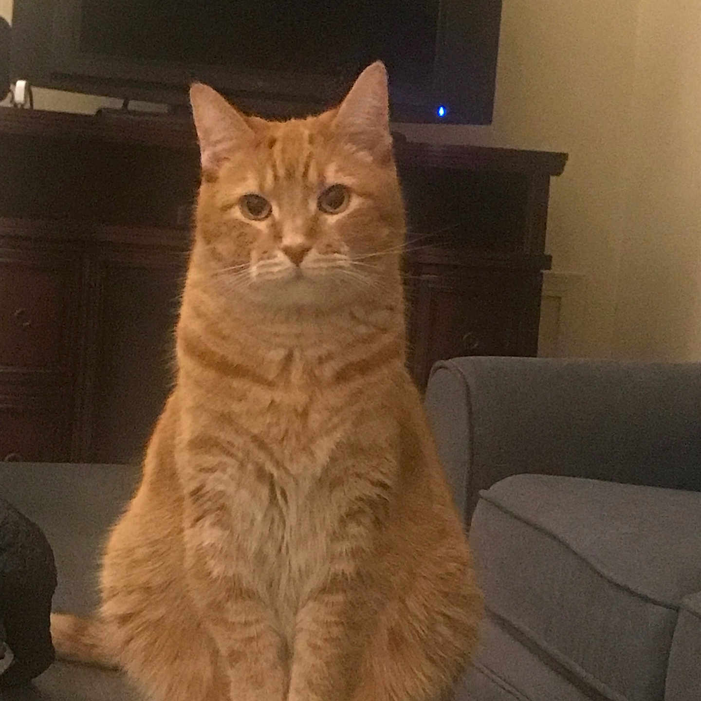 Charlie