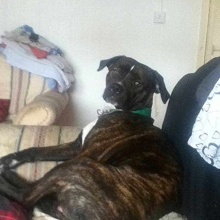 Lucia is registered to the contest to win money with this photo: