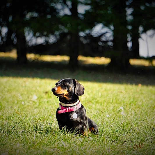 Oona