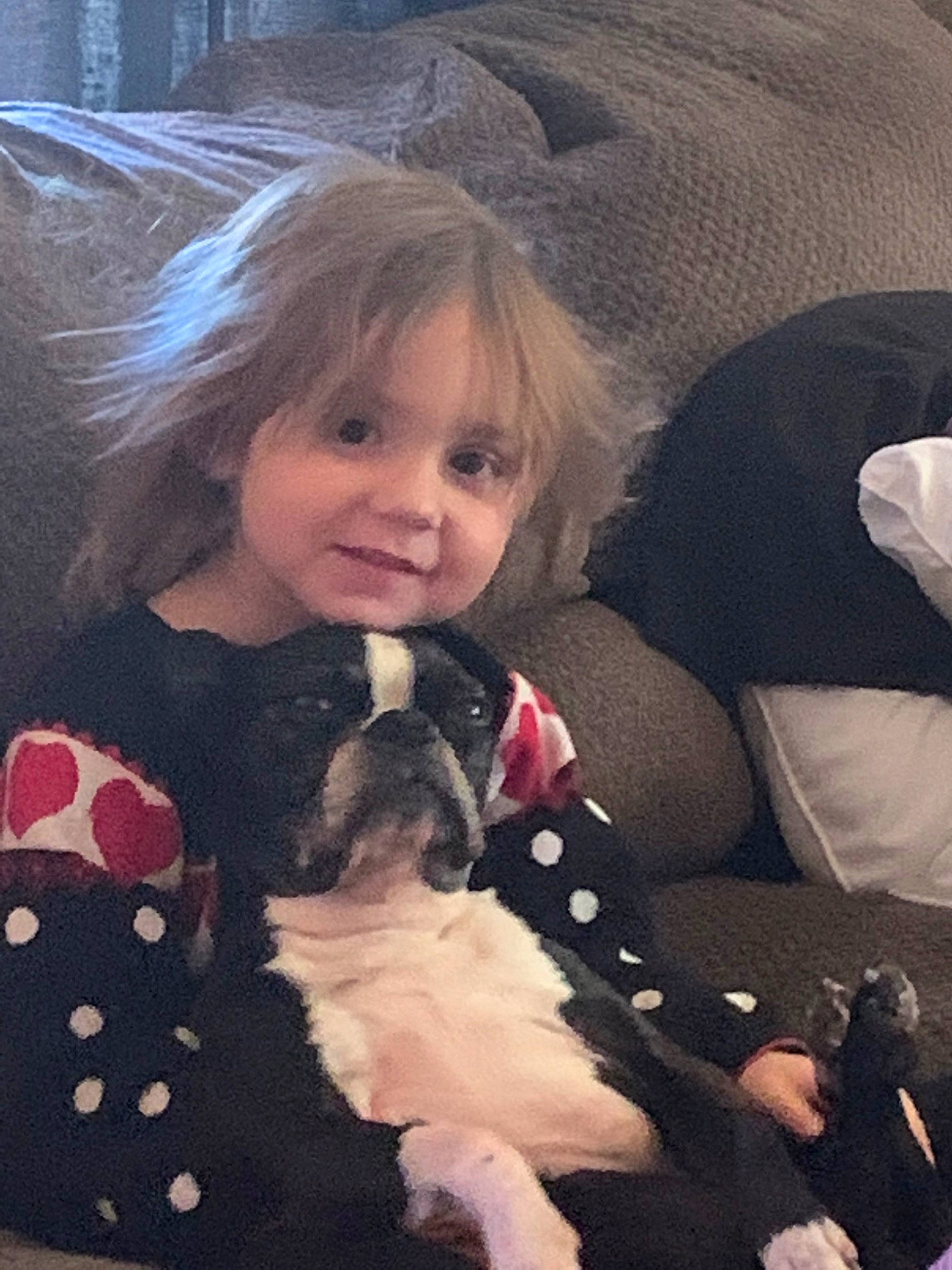 Adyson joined the competition — help win amazing prizes! canidae, carnivore, child, companion_dog, dog, dog_breed, eye, non_sporting_group, person, puppy, puppy_love, shih_tzu, toddler, toy_dog