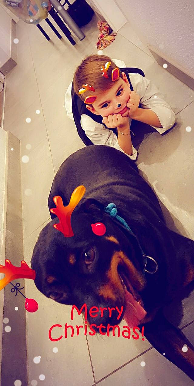 Princesse participe au concours pour gagner de l'argent avec cette photo : ball, black_hair, carnivore, child, companion_dog, cool, dog_breed, eyewear, fawn, fun, happy, hat, human, personal_protective_equipment, photograph, recreation, selfie, snapshot, toddler, working_animal