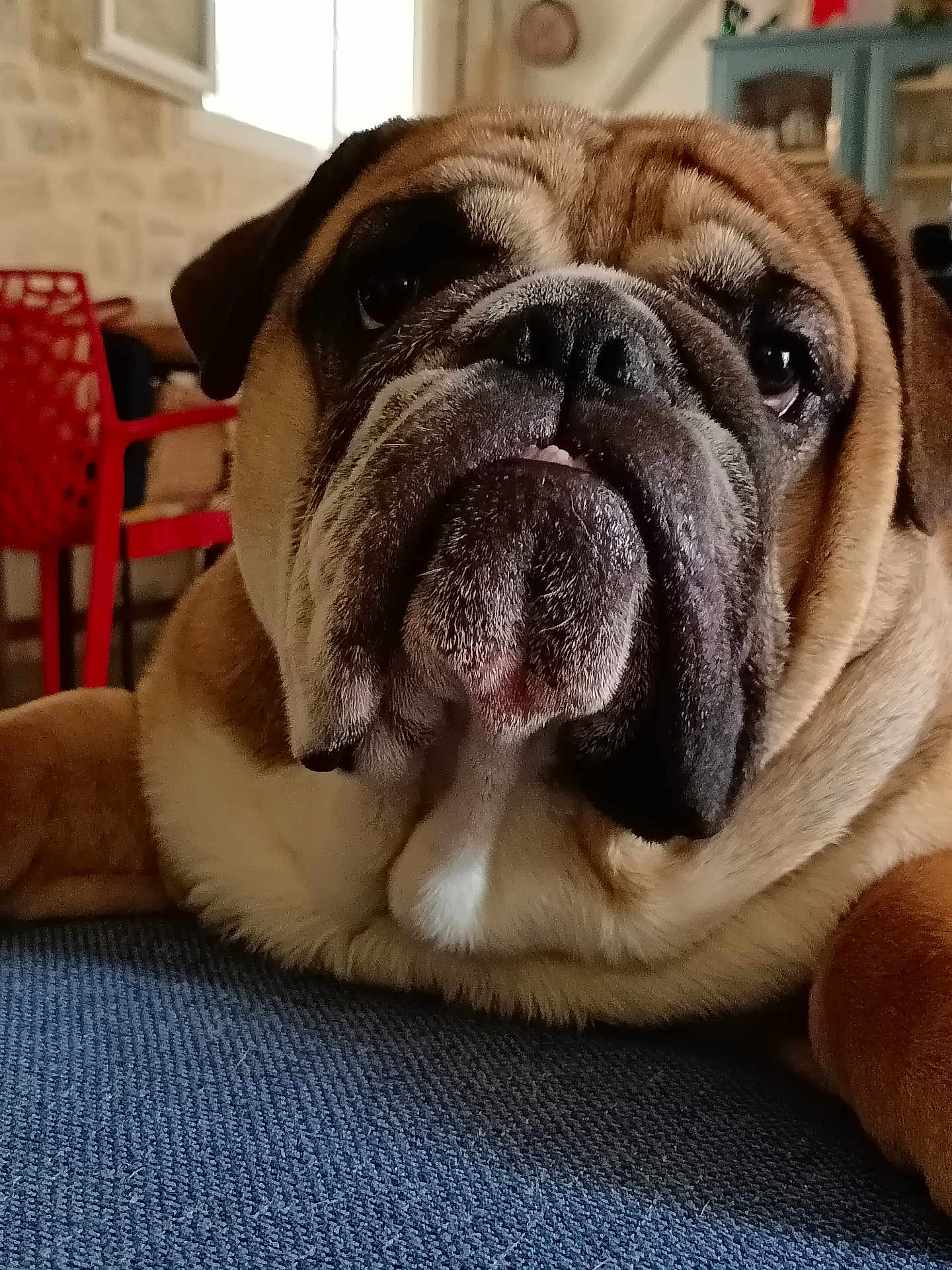 Victor