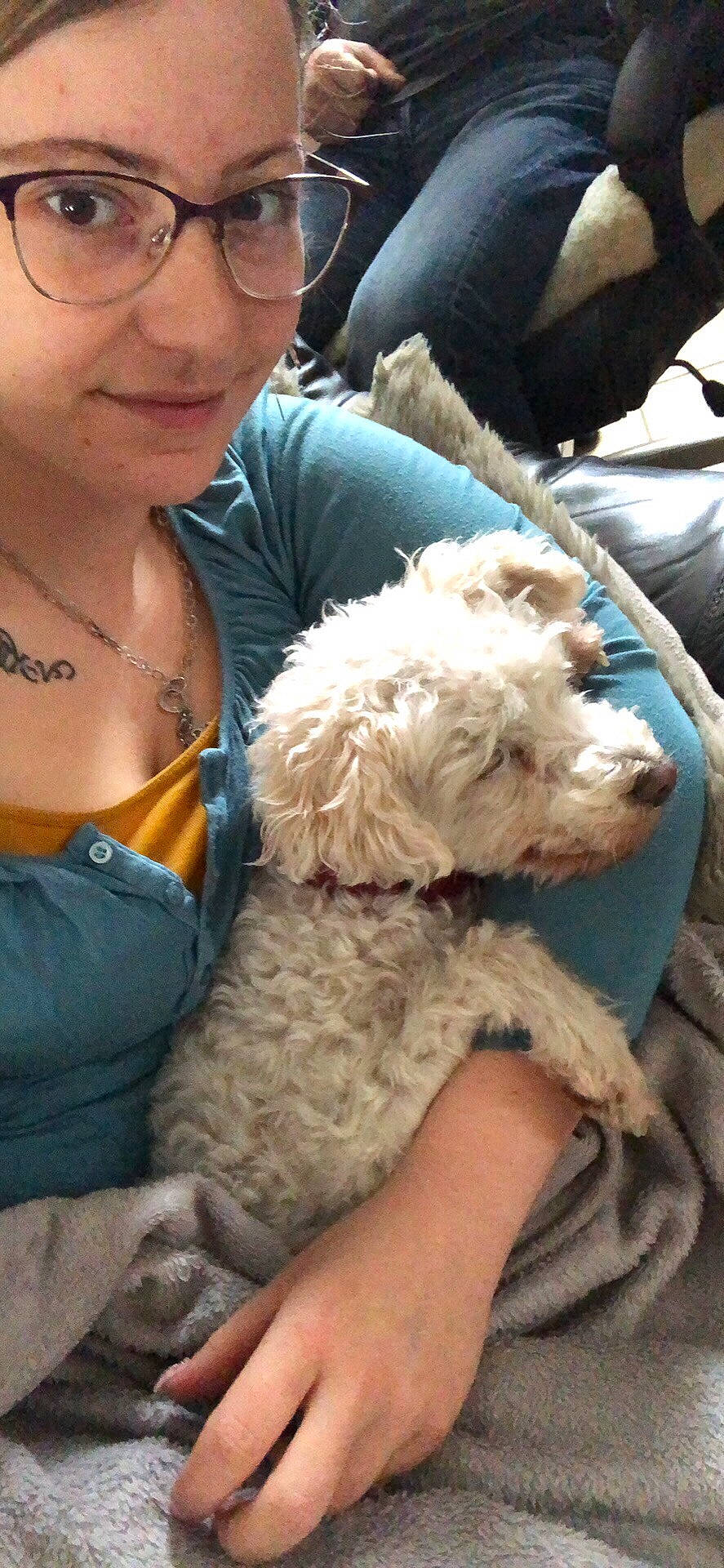 Zirka participe au concours pour gagner de l'argent avec cette photo : briquet_griffon_vendeen, canidae, carnivore, cockapoo, companion_dog, dog, dog_breed, goldendoodle, labradoodle, lagotto_romagnolo, mammal, miniature_poodle, non_sporting_group, person, poodle_crossbreed, portuguese_water_dog, rare_breed_dog, schnoodle, spanish_water_dog, sporting_group