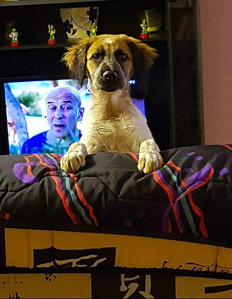 Nina