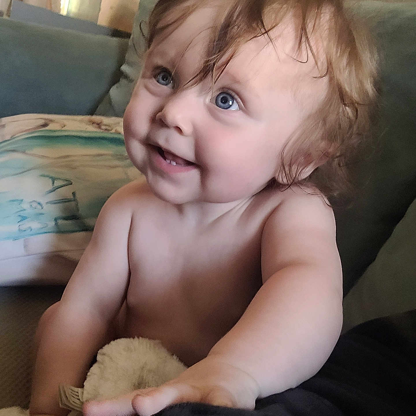 Steelie joined the competition — help win amazing prizes! arm, baby, blue_eyes, child, closeup, couch, curly_hair, cushion, cute, expression, hand, happy, indoors, infant, person, plush_toy, portrait, skin, smiling, toddler