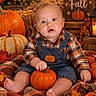 baby, child, infant, portrait, sitting, smiling, autumn, fall, pumpkins, orange, plaid_blanket, overalls, flannel, flowers, hay, harvest, seasonal_decor, lantern, wooden_sign, outdoor_style