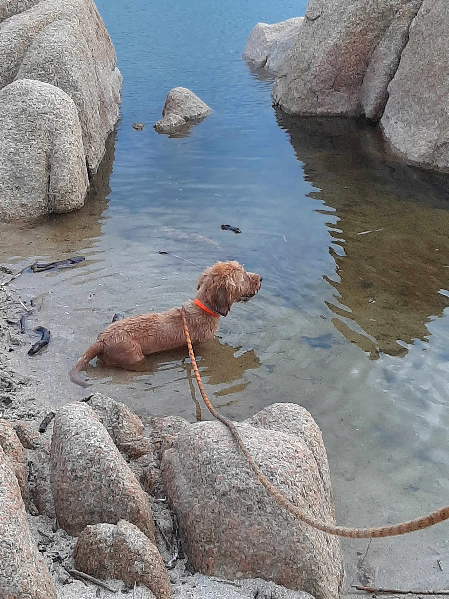 Pollux