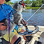 adventure, animal, blue_shirt, boat, cat, goggles, harness, leash, nature, outdoor, person, pet, recreation, river, steering_wheel, summer, sunny, trees, water, yellow_shorts