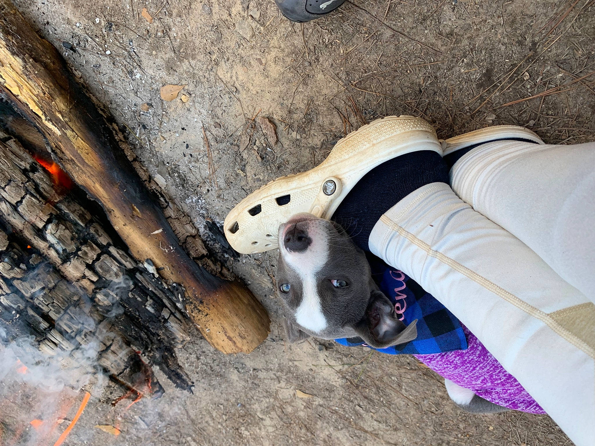 Athena joined the competition — help win amazing prizes! asphalt, auto_part, automotive_tire, carmine, denim, electric_blue, fashion_accessory, foot, glove, grass, human_leg, knee, pattern, personal_protective_equipment, road_surface, sock, thigh, tool, wood, wrist