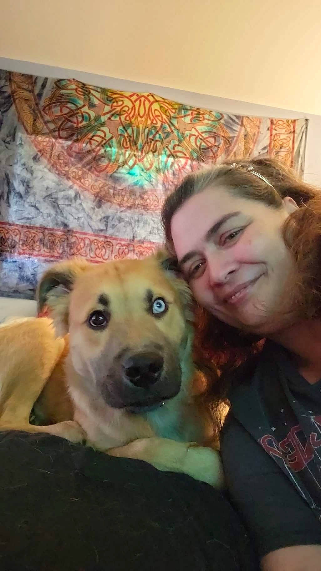 Odin Arcane Ashmore joined the competition — help win amazing prizes! art, beard, canidae, carnivore, companion_dog, dog, dog_breed, fawn, fun, fur, guard_dog, happy, picture_frame, retriever, selfie, smile, snout, sporting_group, visual_arts, whiskers