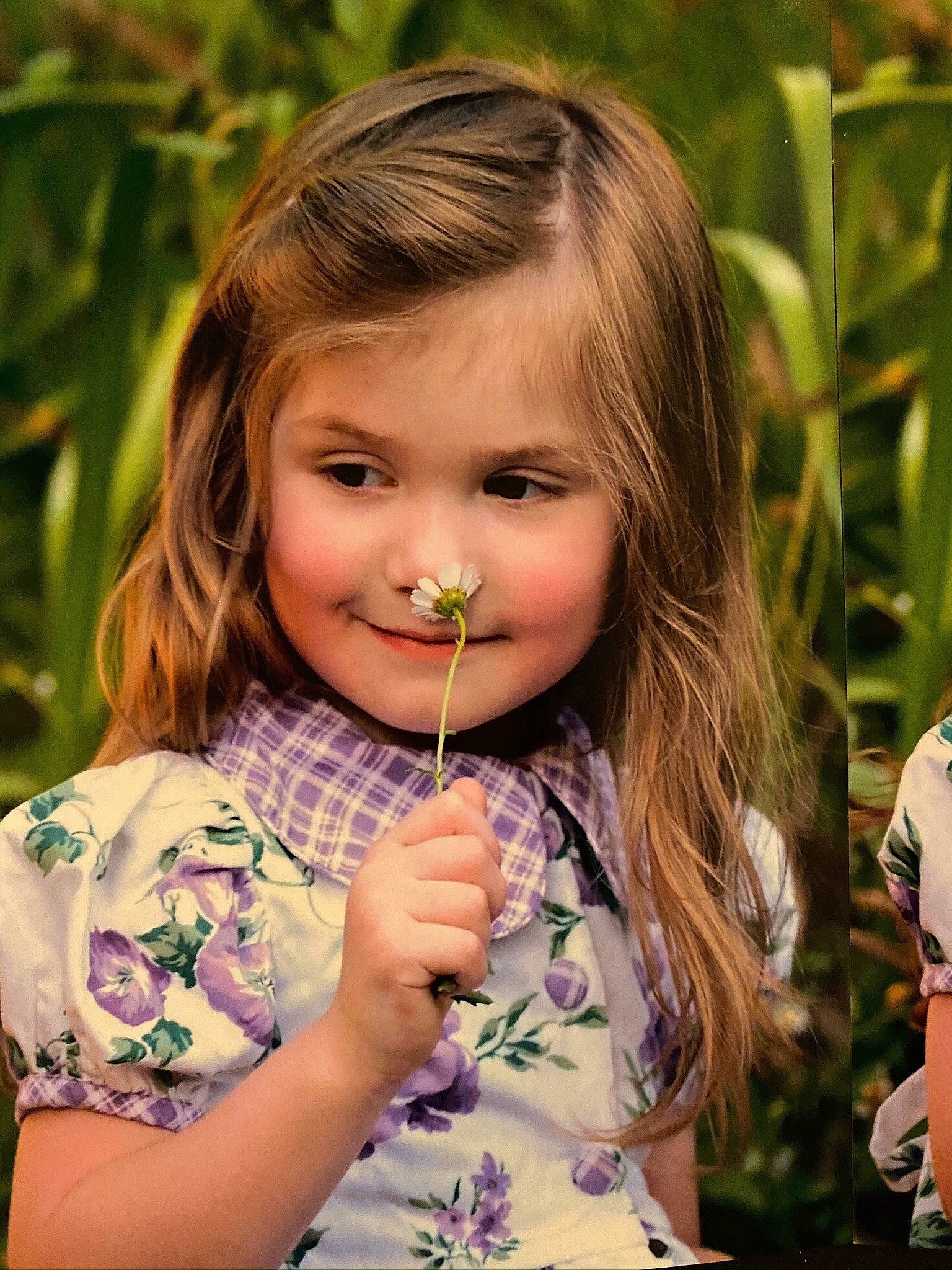 Dahlia is registered to the contest to win money with this photo: beauty, cheek, child, eye, eyelash, finger, grass, hand, happy, head, iris, joy, lip, mouth, nose, people_in_nature, person, plant, skin, summer