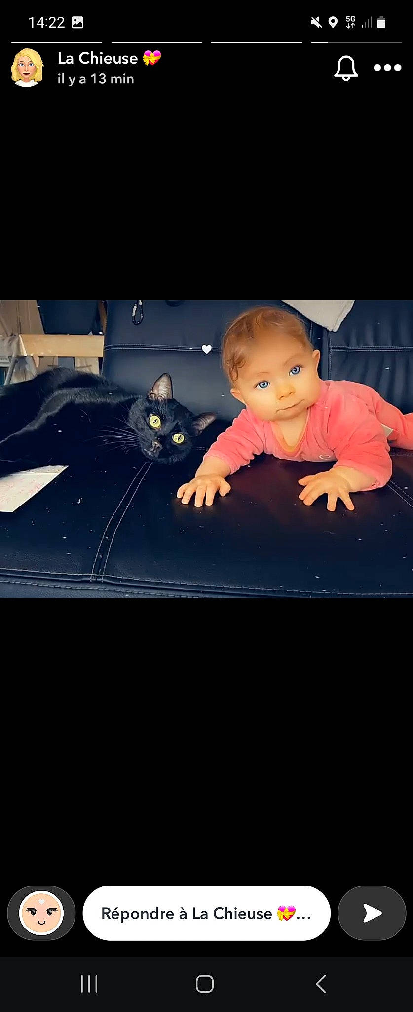 Giulia a rejoint le concours — aidez-le/la à gagner de superbes lots ! automotive_exterior, baby, carnivore, cat, darkness, display_device, electronic_device, felidae, flash_photography, flat_panel_display, gadget, happy, multimedia, person, photo_caption, room, sitting, small_to_medium_sized_cats, still_life_photography, toddler