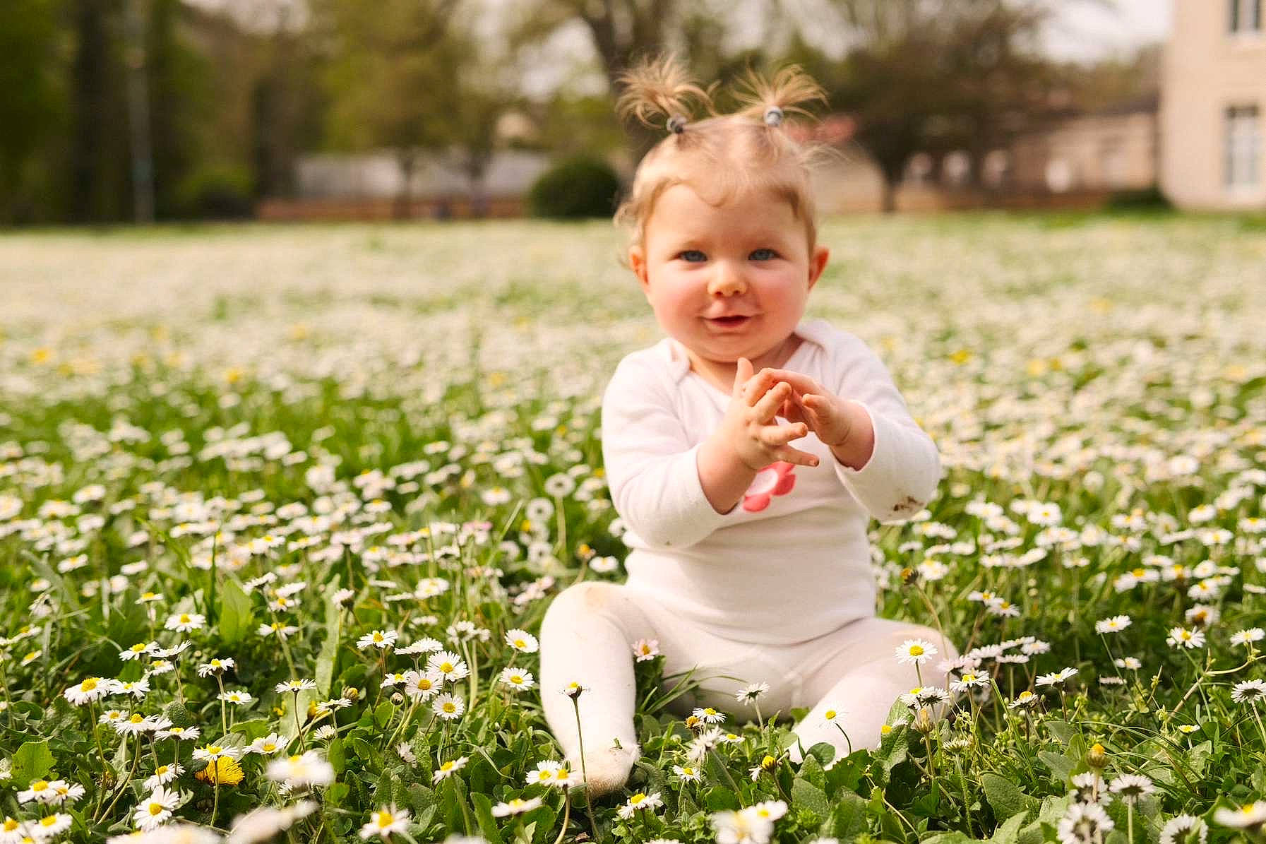 Giulia participe au concours pour gagner de l'argent avec cette photo : baby, baby_toddler_clothing, beauty, facial_expression, flash_photography, flower, grass, happy, joy, leaf, light, meadow, people_in_nature, person, petal, plant, playing_with_kids, smile, summer, sunlight