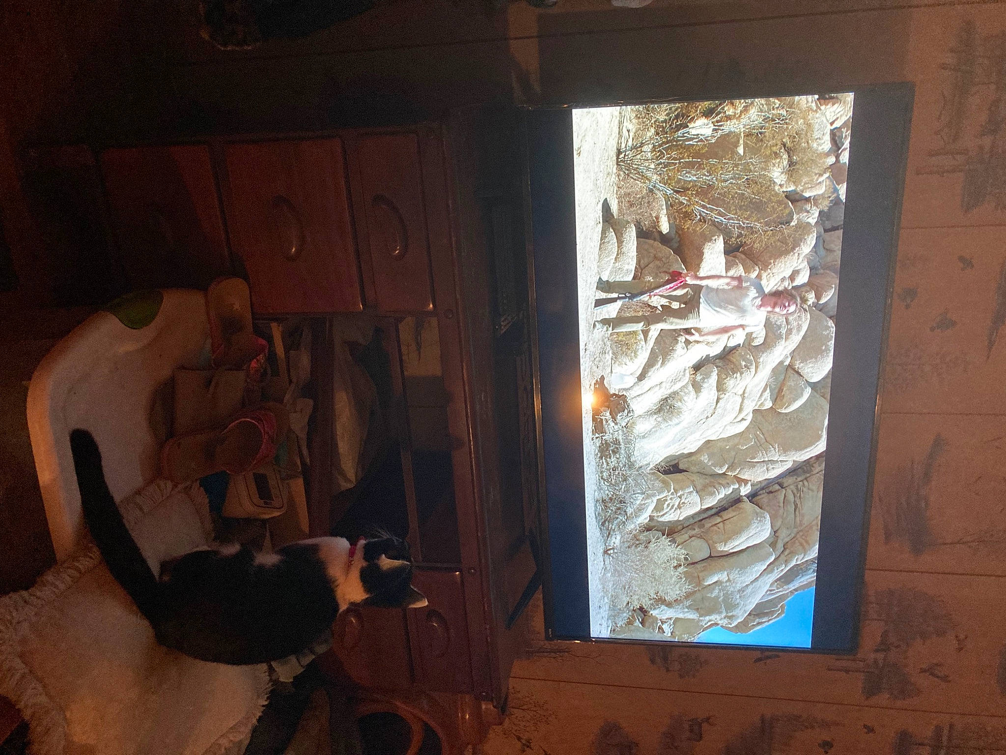 Armani joined the competition — help win amazing prizes! art, ceiling, darkness, daylighting, door, glass, hardwood, plant, room, shadow, space, still_life_photography, tints_and_shades, tree, visual_arts, window, wood