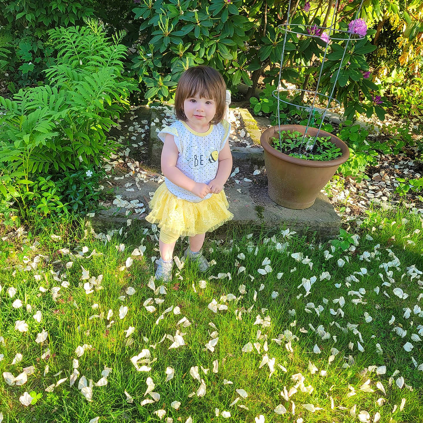 Vivian is registered to the contest to win money with this photo: annual_plant, botany, flower, flowering_plant, flowerpot, garden, grass, grass_family, green, groundcover, houseplant, lawn, leaf, people_in_nature, person, petal, plant, shrub, terrestrial_plant, toddler