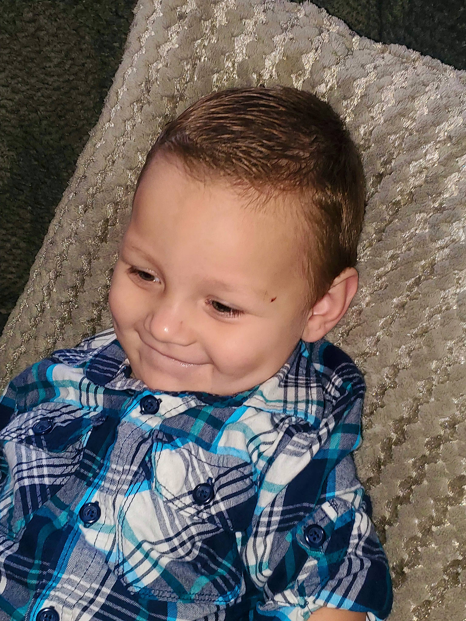 Buster joined the competition — help win amazing prizes! azure, blue, cheek, cool, eye, eyebrow, face, flash_photography, forehead, happy, iris, joy, lip, nose, person, plaid, shirt, skin, sleeve, smile