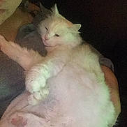 Nounouille participe au concours pour gagner de l'argent avec cette photo :