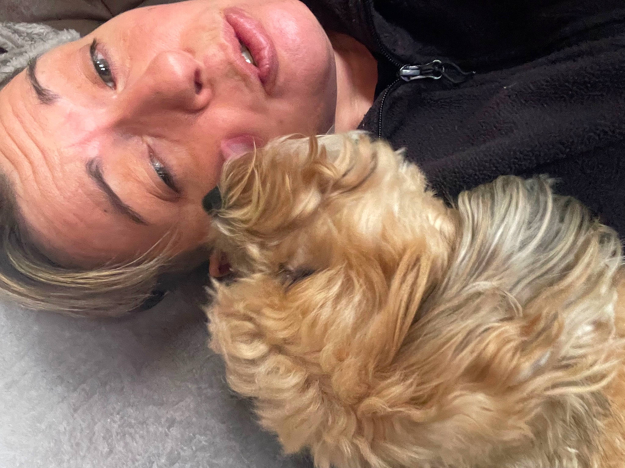 Jacks a rejoint le concours — aidez-le/la à gagner de superbes lots ! brown_hair, carnivore, comfort, companion_dog, dog, dog_breed, ear, eyelash, fur, gesture, hairstyle, happy, jewellery, liver, nose, smile, sporting_group, terrier, toy_dog, working_animal