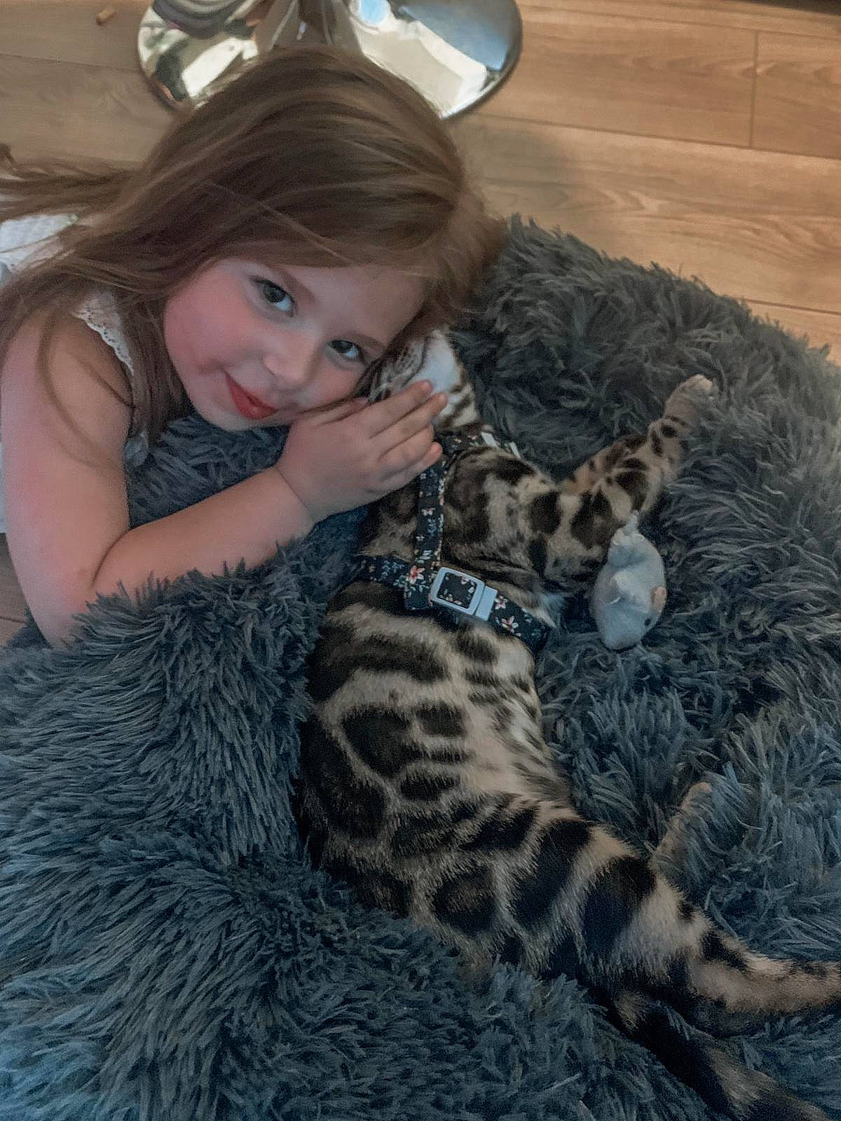 Laïevna a rejoint le concours — aidez-le/la à gagner de superbes lots ! big_cats, carnivore, cat, dress, eye, fawn, felidae, fur, hair, hat, head, lap, leopard, mammal, person, small_to_medium_sized_cats, smile, sun_hat, terrestrial_animal, toddler