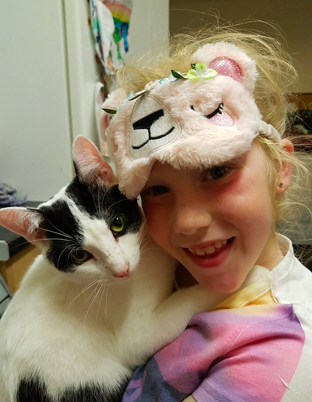 Bubble With His Mum joined the competition — help win amazing prizes! asian, carnivore, cat, ear, felidae, fur, small_to_medium_sized_cats, turkish_van, whiskers