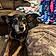 Missy