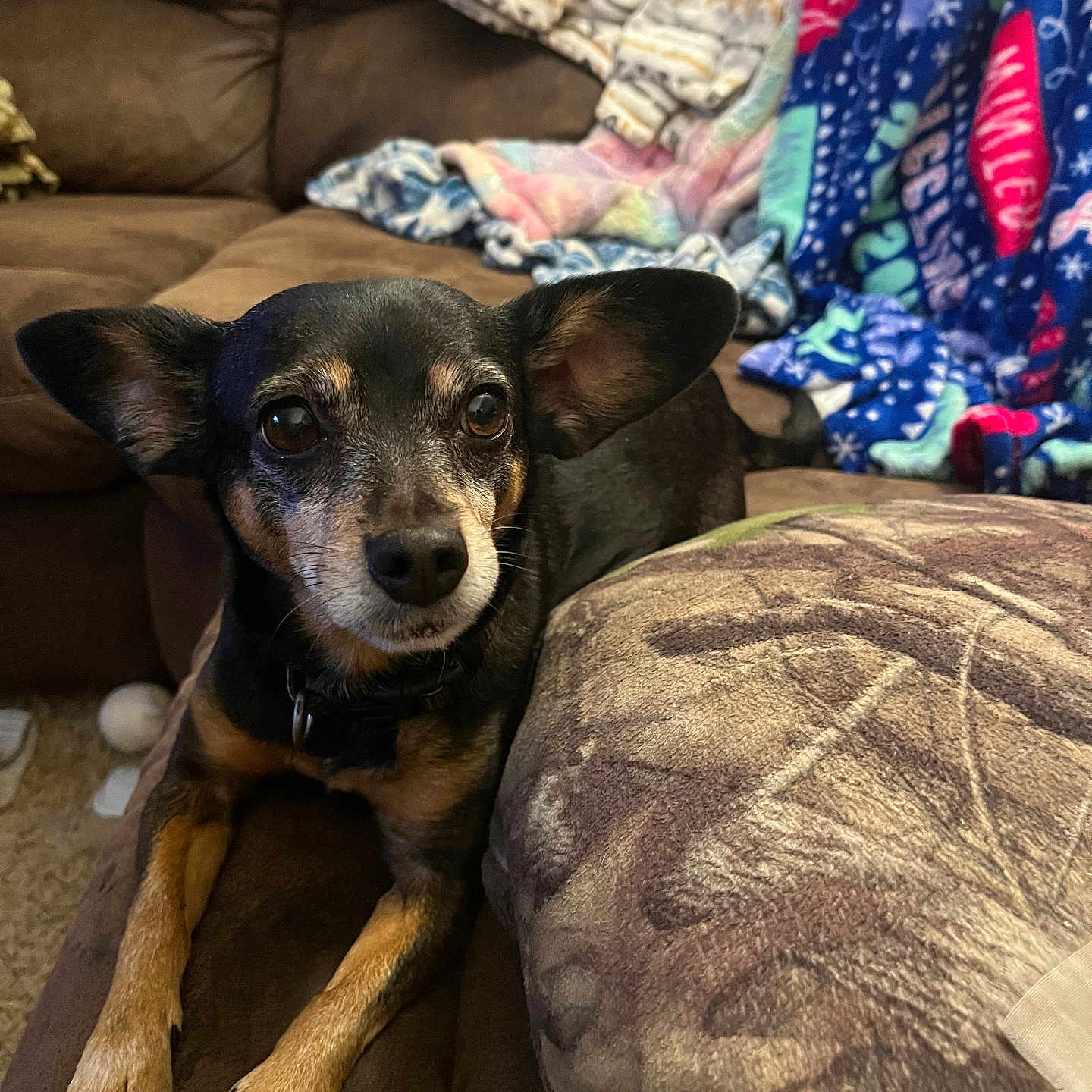 Missy