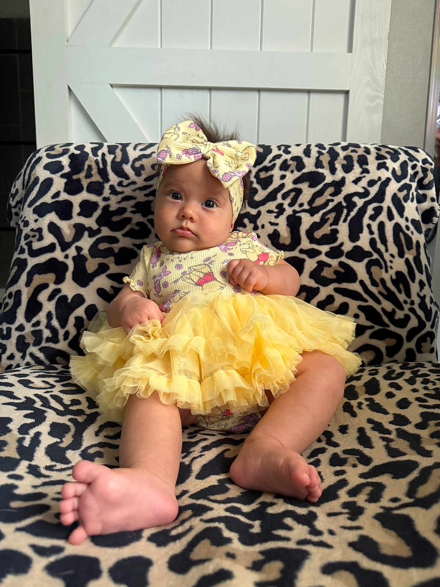 Journey is registered to the contest to win money with this photo: baby, infant, child, tutu, yellow, headband, bow, leopard_print, blanket, sitting, indoors, curious, cute, soft_lighting, expression, foot, hand, face, clothing, portrait