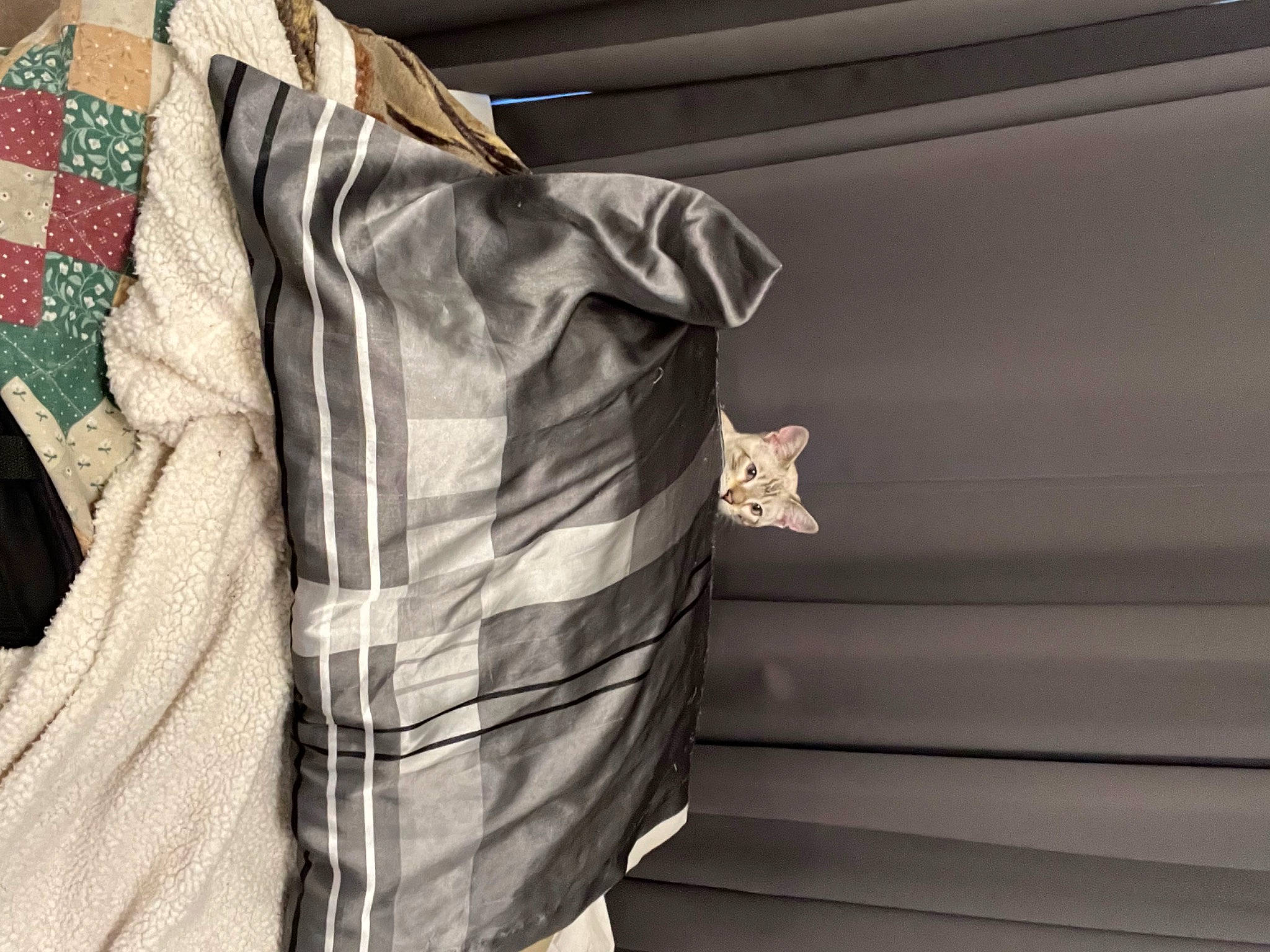 Widow joined the competition — help win amazing prizes! closet, clothes_hanger, collar, curtain, day_dress, denim, dress_shirt, fashion_design, formal_wear, grey, linens, pattern, plaid, shade, sleeve, t_shirt, tartan, tints_and_shades, window, wood