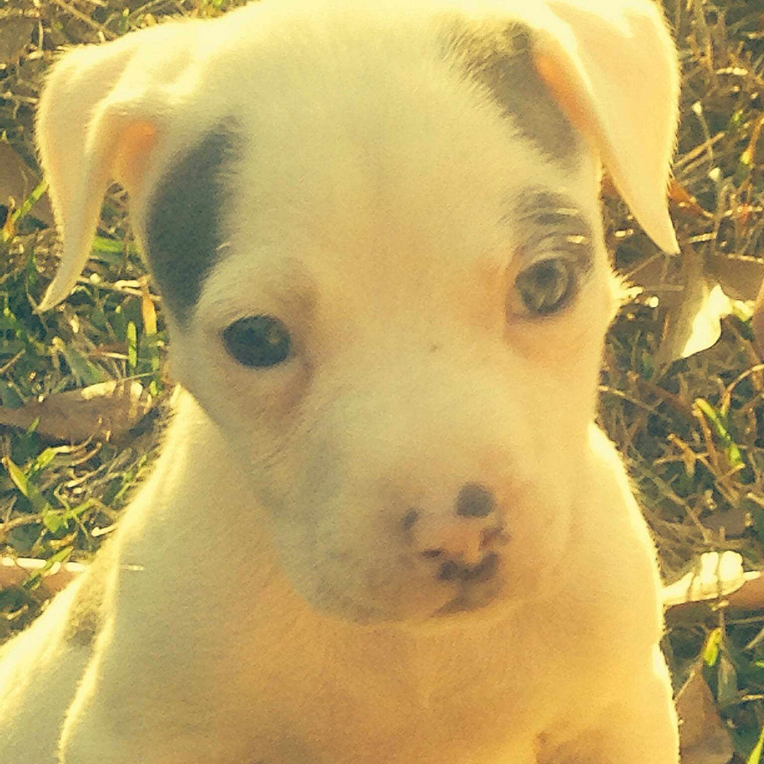 Jahvie is registered to the contest to win money with this photo:
